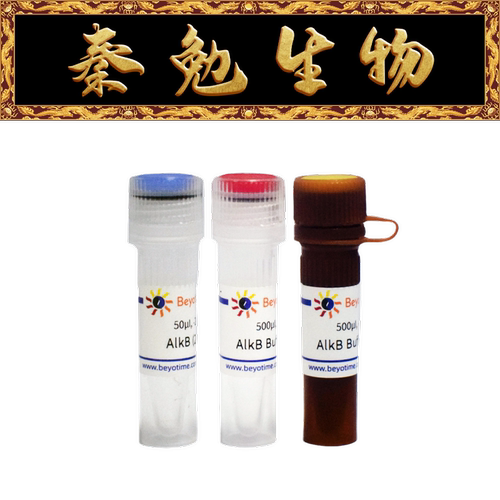 RNA/DNA去甲基化酶Nuclease-free