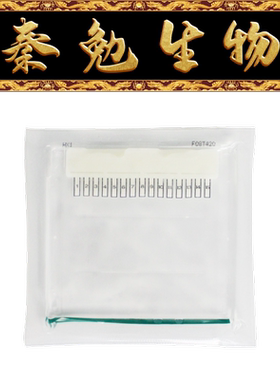 Biosharp白鲨 BL1392A 蛋白预制胶 Tris-Gly 8-16% 15孔 1.0 mm