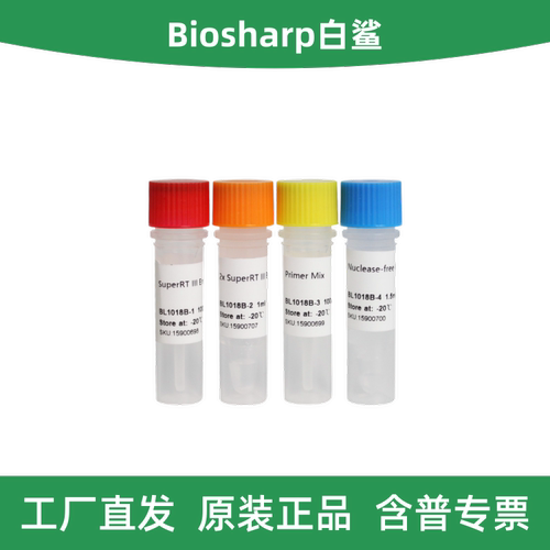 Biosharp反转录试剂盒BL1018B