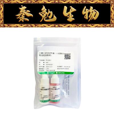 PV-6002小鼠二步法试剂盒中杉