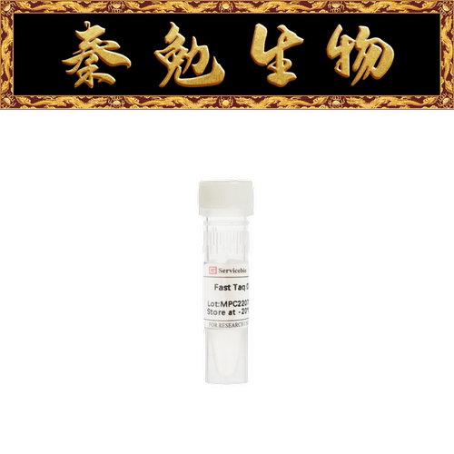 赛维尔快速TaqDNA聚合酶