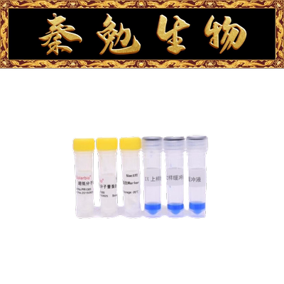 索莱宝超低分子量蛋白质PR1300