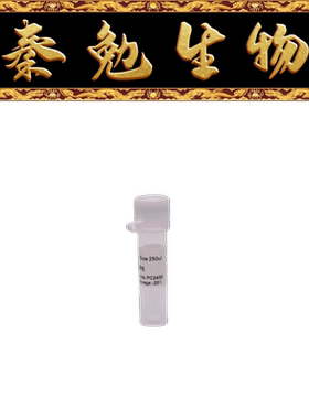 索莱宝 货号：PC2430 通用引物 SP6