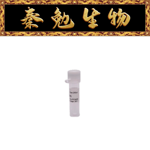 索莱宝通用引物SP6PC2430