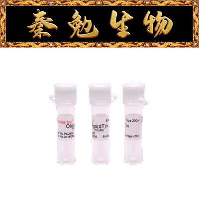 索莱宝通用引物OligoT16
