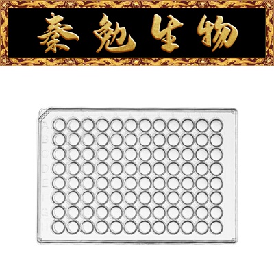 LABSELECT96孔U底细胞培养板