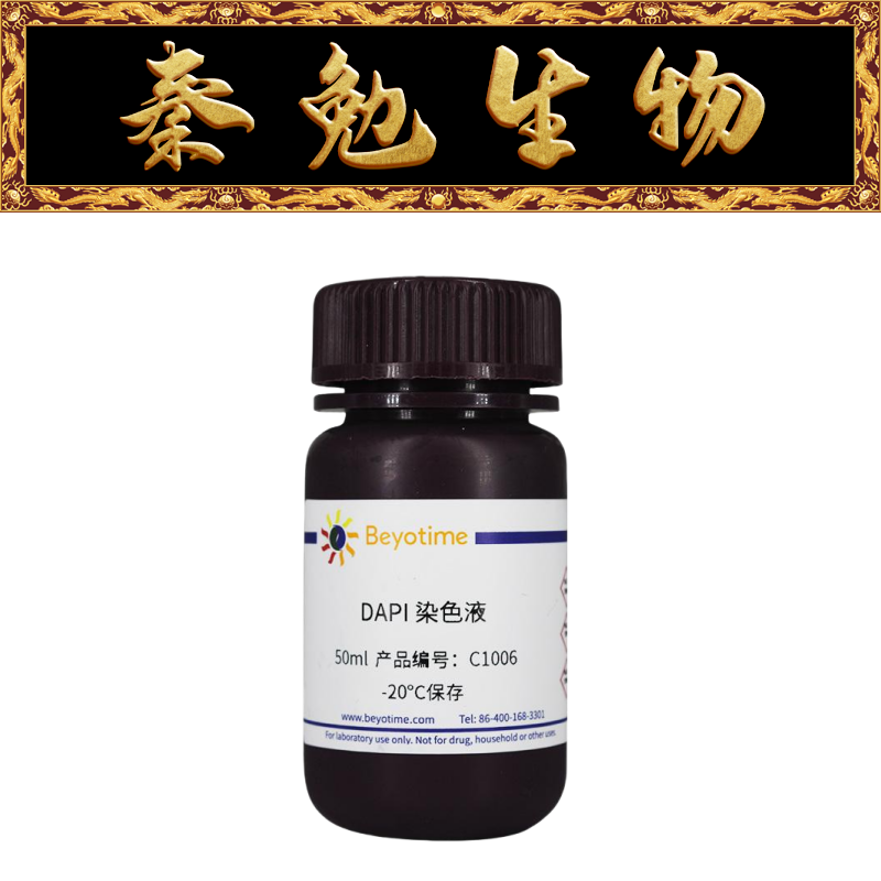 碧云天DAPI染色液C1005C1006