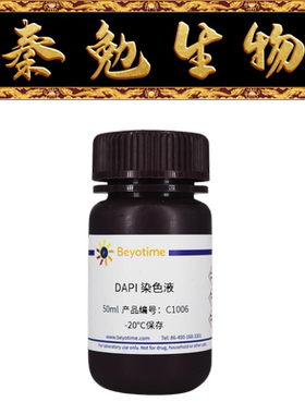碧云天 C1005/C1006/C1006-200ml DAPI染色液