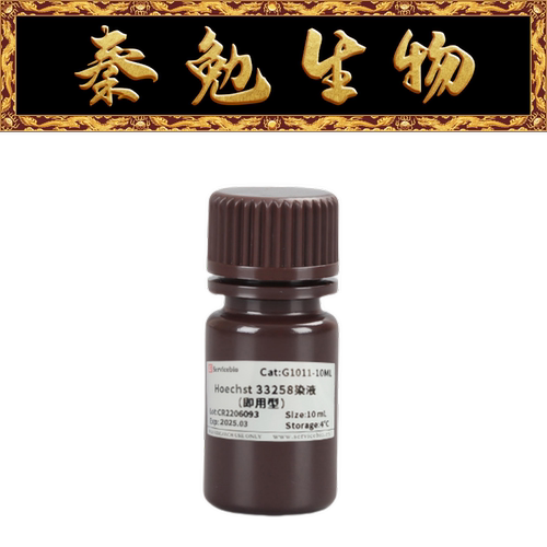 赛维尔Hoechst33258染液