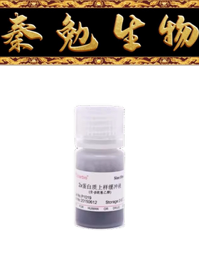 索莱宝 货号：P1019 2×蛋白上样缓冲液（含巯基还原剂）