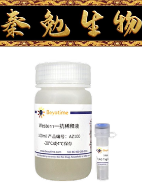 碧云天 AF0036 FLAG Tag Rabbit Polyclonal Antibody