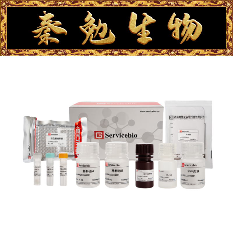 赛维尔RatIFN-gammaGER0006-48T