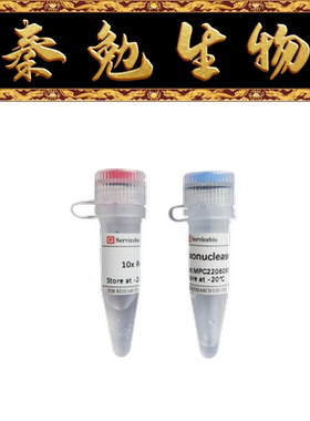 赛维尔 货号：G3465-5000U 核酸外切酶III(E.coli )