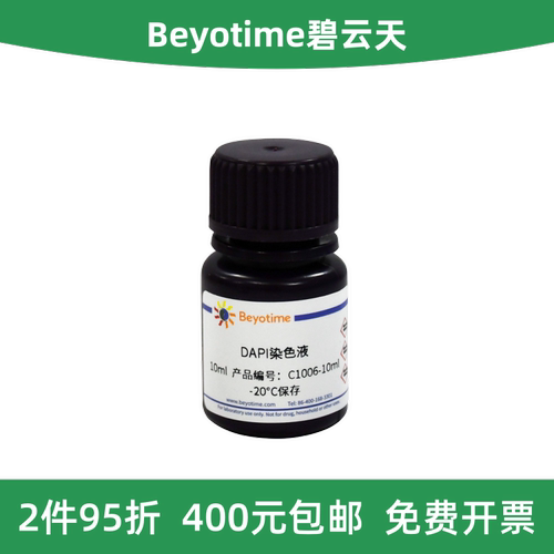 Beyotime碧云天DAPI染色液