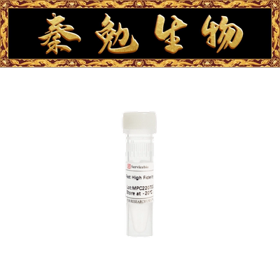 赛维尔FastHighFidelity