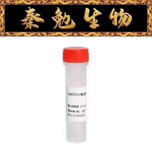 Biosharp白鲨 BL006B Anti-GAPDH polyclonal antibody内参抗体