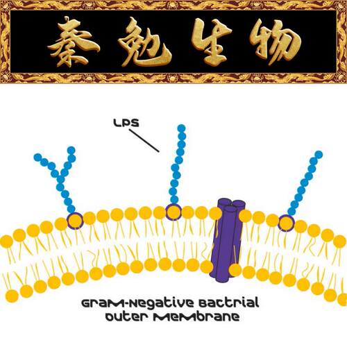 L2630-100MG脂多糖Sigma