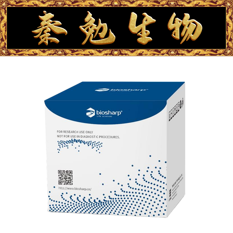 双萤光素酶报告基因检测试剂盒