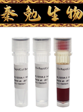Biosharp白鲨 BL1233A RapidCut BglII 快速限制性内切酶