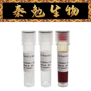 Biosharp白鲨 BL1233A RapidCut BglII 快速限制性内切酶