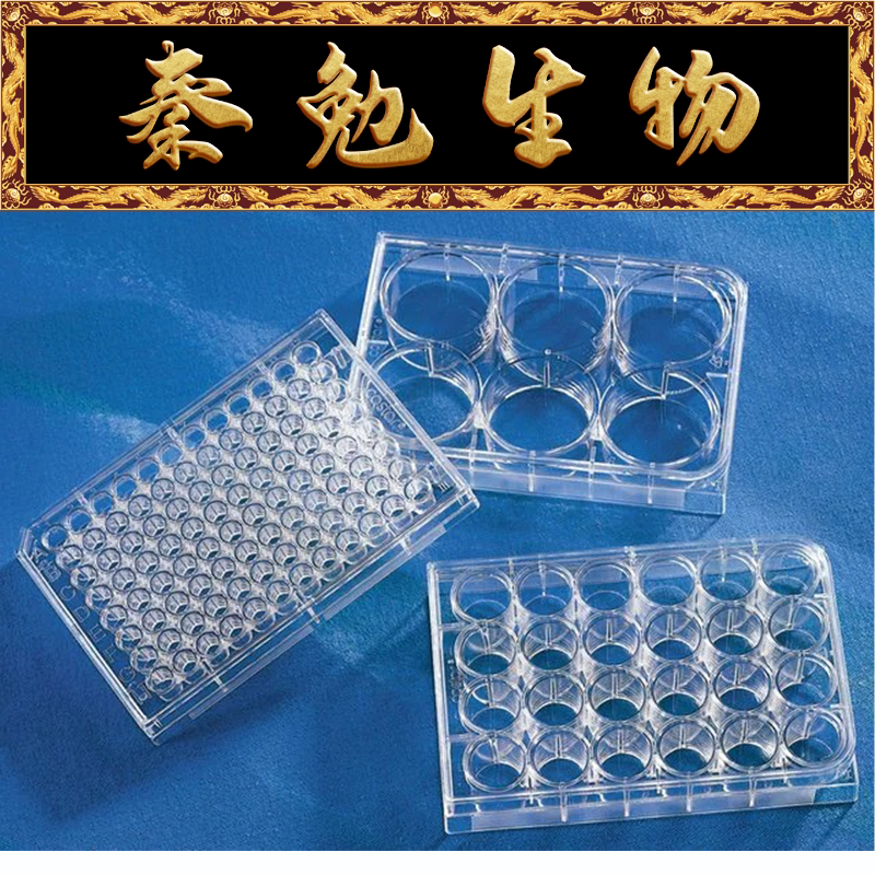 corning 货号:3473 24孔细胞培养板,超低吸附