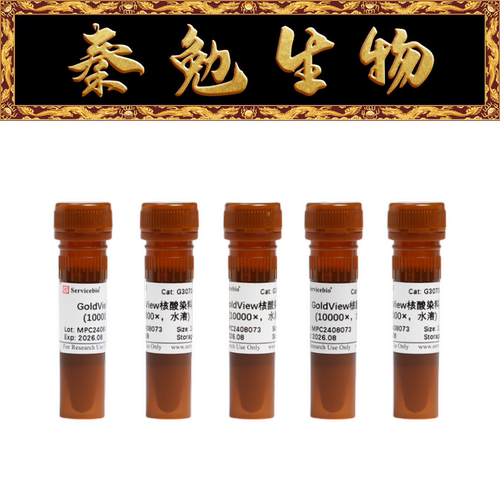 赛维尔GoldView核酸染料