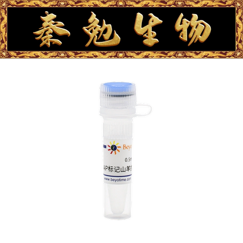 碱性磷酸酯酶标记山羊抗兔IgGH+L