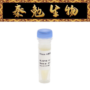 Biosharp白鲨 BL1271B RNase A溶液(100 mg/mL)