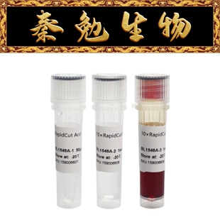 Biosharp白鲨 BL1546A RapidCut AccI 快速限制性内切酶