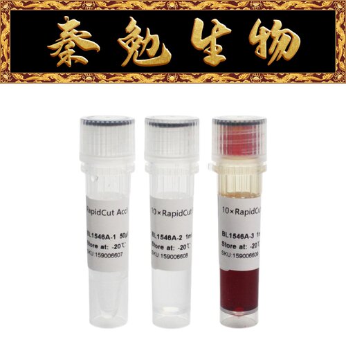 Biosharp白鲨RapidCutAccI