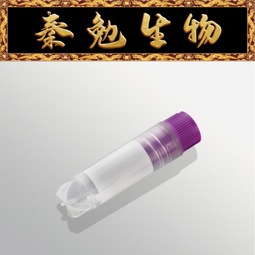 Biosharp细胞冻存管BS-20-ST65
