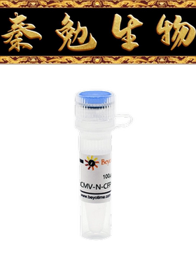 碧云天 D2703-1μg/D2703-100μg pCMV-N-CFP (青色荧光蛋白)