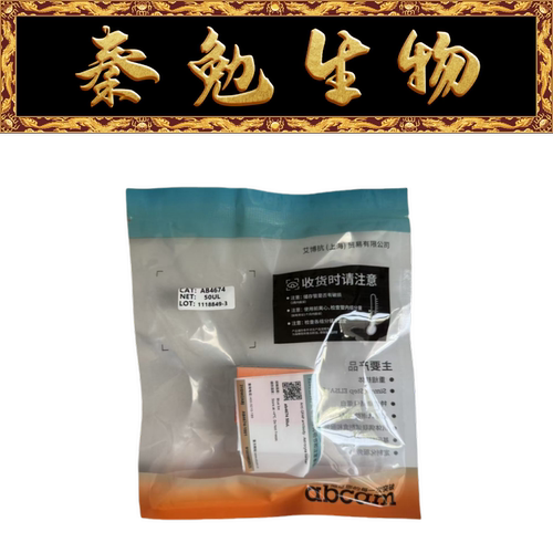 AbcamAnti-GFAP抗体ab4674
