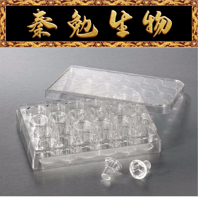 CorningTranswell嵌套3413