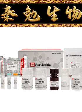 赛维尔 货号：GEM0018-48T Mouse IFN-beta ELISA Kit