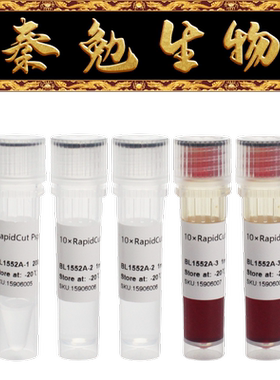 Biosharp白鲨 BL1552A RapidCut PspGI (EcoRII)快速限制性内切酶