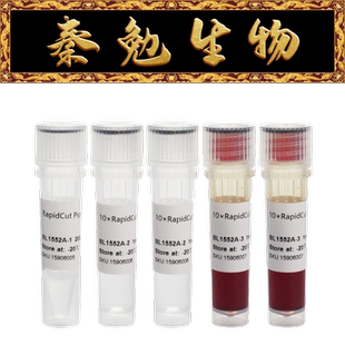 Biosharp白鲨 BL1552A RapidCut PspGI (EcoRII)快速限制性内切酶