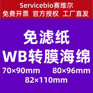 Servicebio赛维尔 WB转膜海绵 免滤纸 70×90mm80×96mm82×110mm