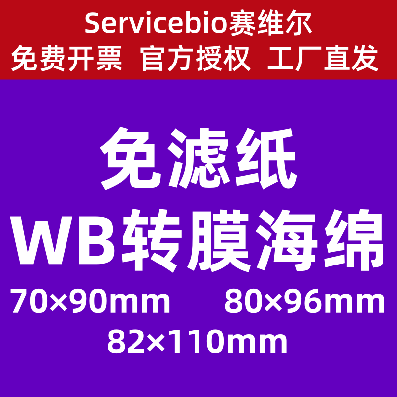 赛维尔WB转膜海绵免滤纸