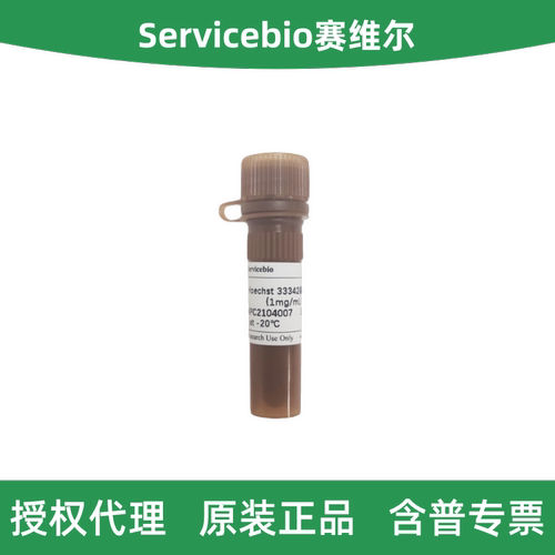 赛维尔Hoechst33342染色液