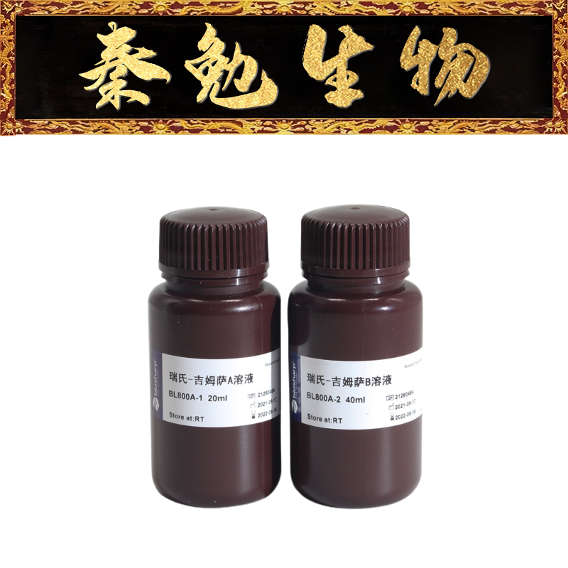 biosharp 货号:bl800a 瑞氏-姬姆萨染液