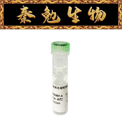 ProteinARabbitPolyclonal