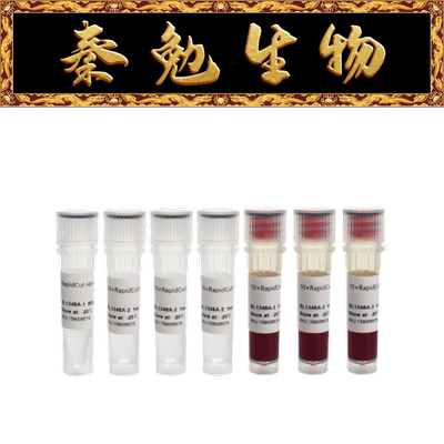 Biosharp快速限制性内切酶