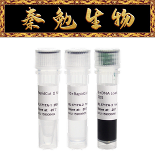 Biosharp白鲨 BL1717A RapidCut Ⅱ MnlI 快速限制性内切酶