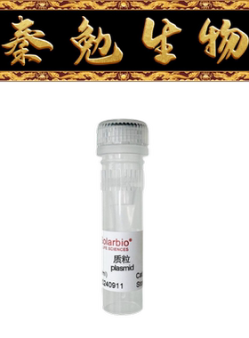 索莱宝 P3518 pUC18质粒