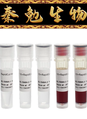 Biosharp白鲨 BL1549A RapidCut HaeIII 快速限制性内切酶