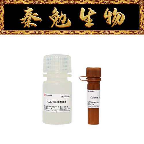 赛维尔AM细胞活性检测试剂盒