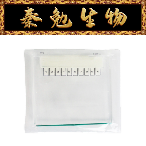 Biosharp白鲨蛋白预制胶Bis-Tris