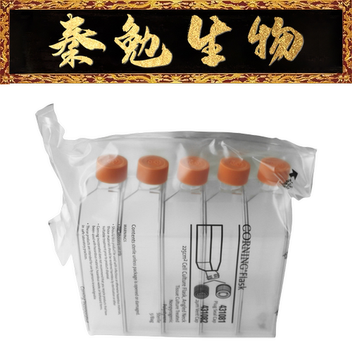 225cm细胞培养瓶Corning431082