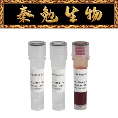 Biosharp快速限制性内切酶